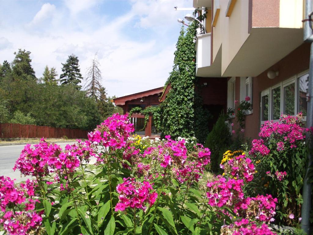 Guest House Zodiac Samokov Exterior photo